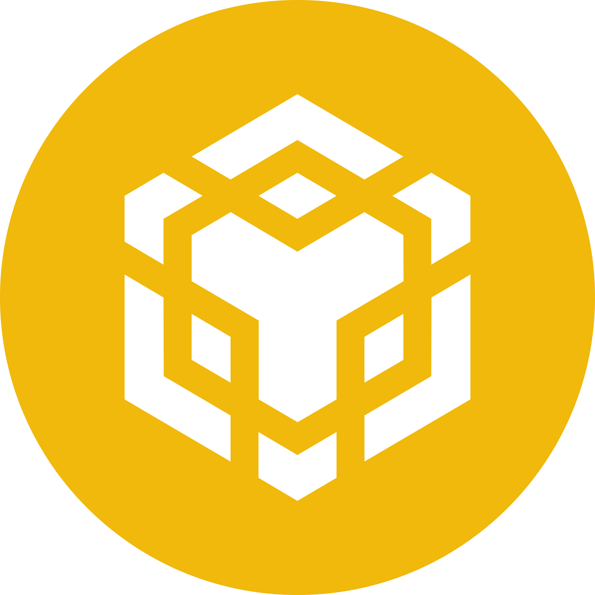 Binance Coin Icon